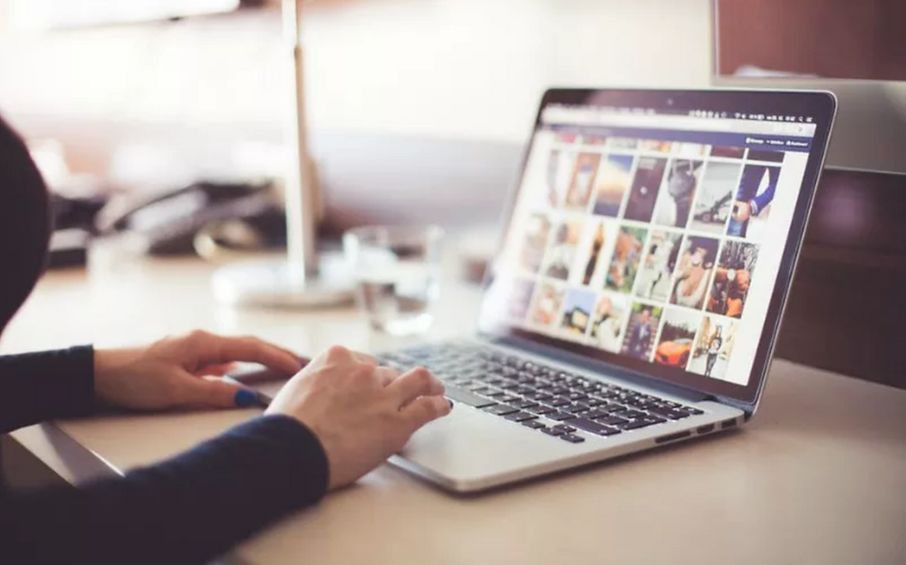 Browse, Index, Search, and Consult