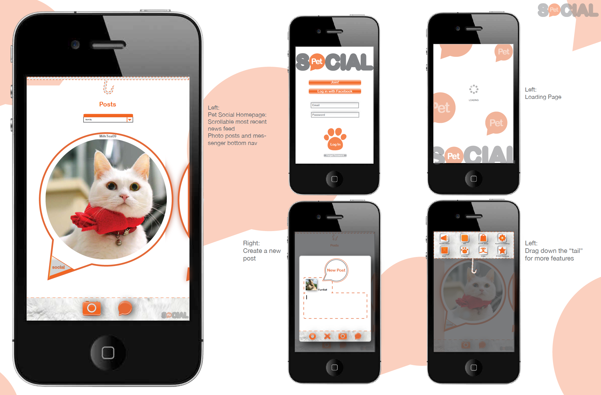 Homophily - Ideas behind sPetcial App — image 6