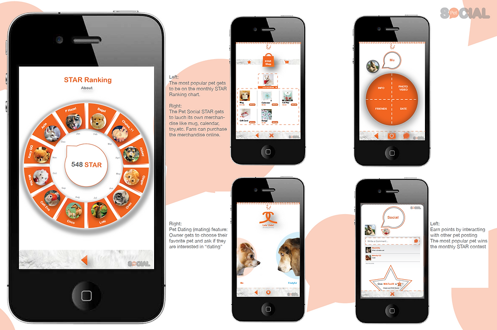 Homophily - Ideas behind sPetcial App