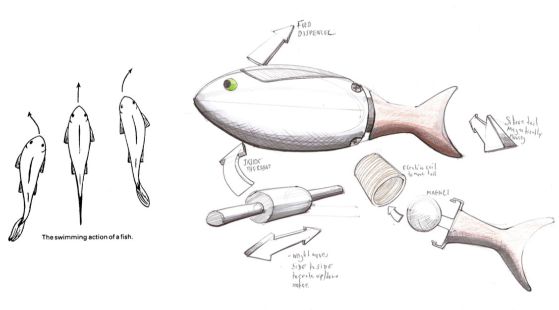 RISH: Robot for The Aquarium — image 4